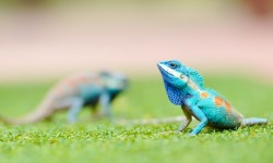 Suspendisse arcu nisl