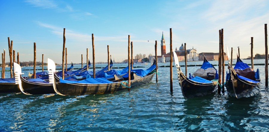 Sed blandit massa vel