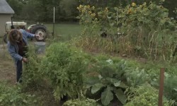 Painting and Interests