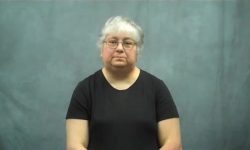 Lost Cat Found Years Later