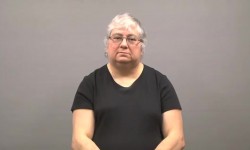 Why Birds Fly in Formation