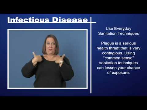 Infectious Disease – Plague Pt 2
