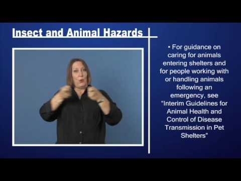 Insect and Animal Hazards Pt 1