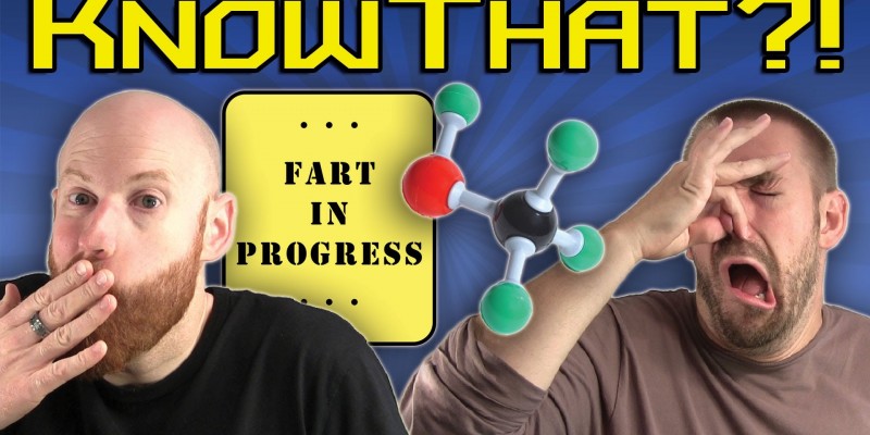 KnowThat?! Humans Smell!