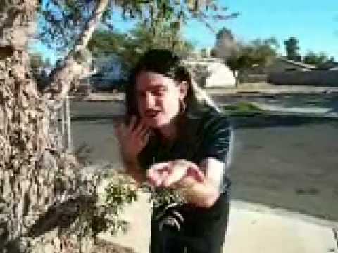 Markie Funny 19 ( The Bean Witch )