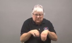 Shot at Armadillo Backfires