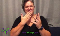 Team Interpreting with ASL Village – part 2