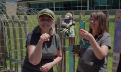 Fruits and Vegetables in ASL