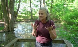 Nature Trail Walk in ASL